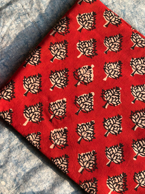 Hand Block Printed Azo free Dyed Cotton 2.5m