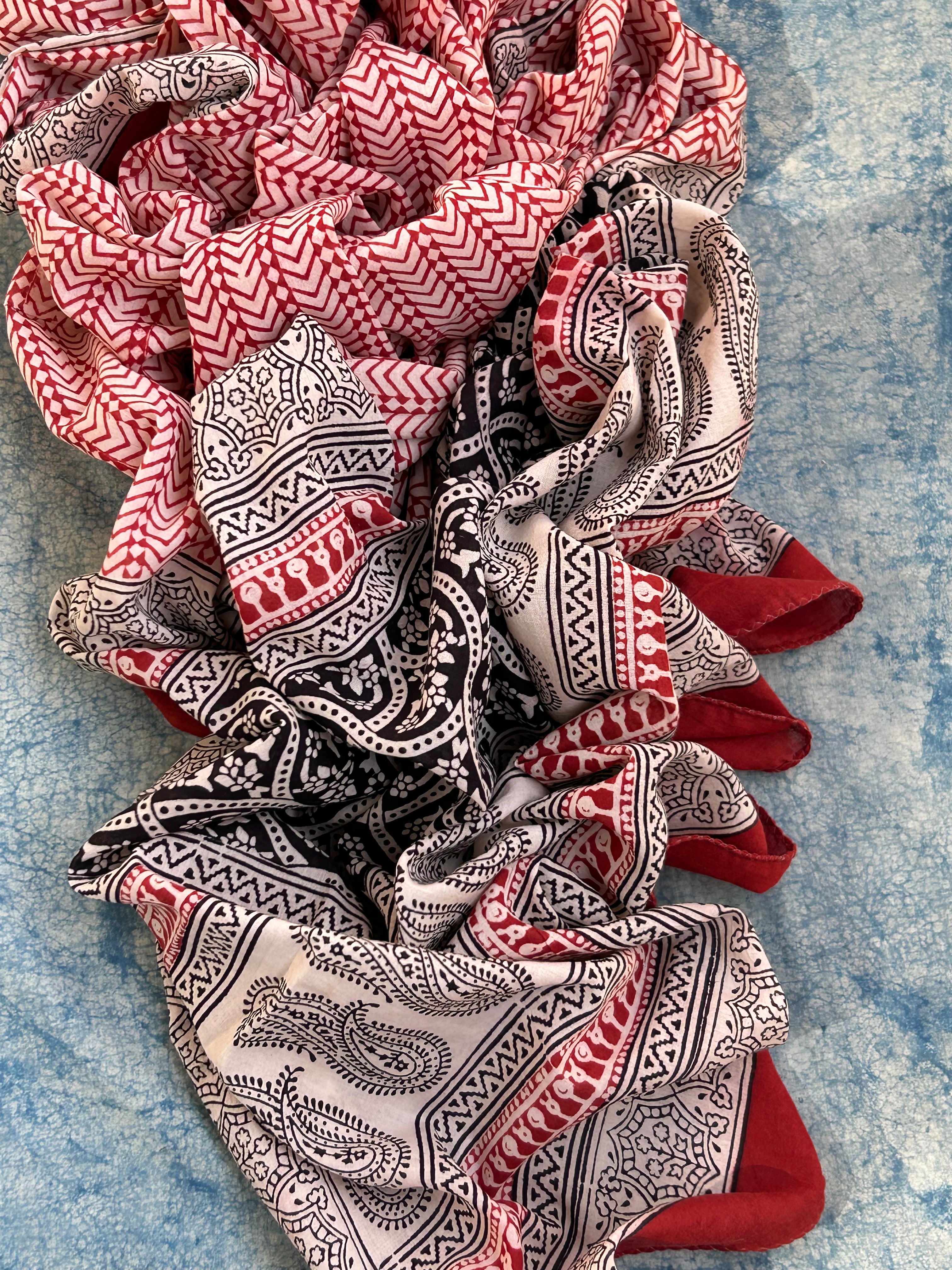 Natural Dyed Bagh Block Print Cotton Suit