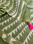 Handblock Printed Mul Cotton Saree