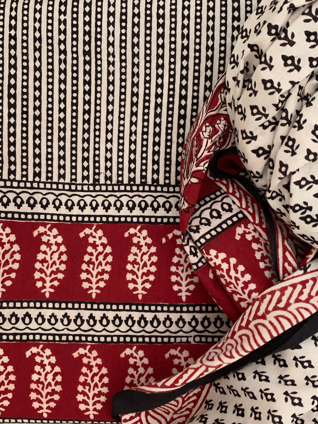 Natural Dyed Bagh Handblock Cotton Suit