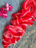 Handcrafted Tie-Dye Silk Kota Doria Dupatta