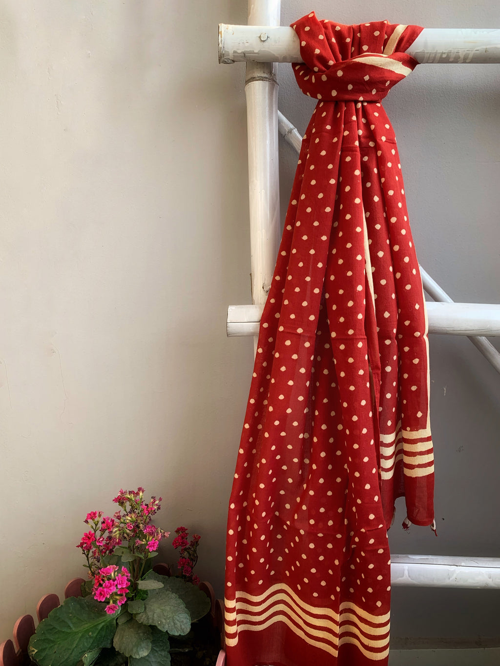 Mul Cotton Stole