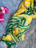 Handcrafted Tie-Dye Silk Kota Doria Dupatta