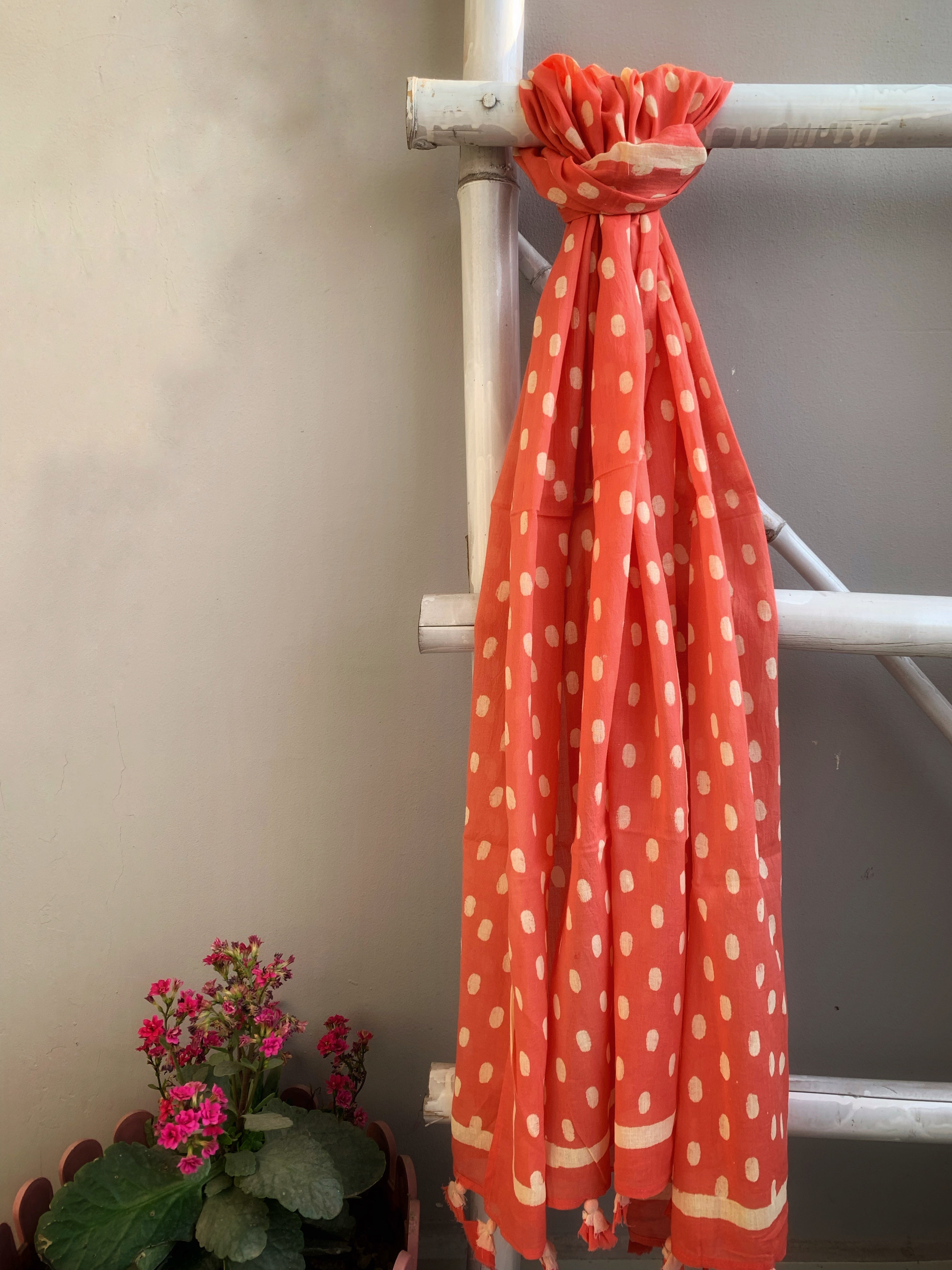 Mul Cotton Stole